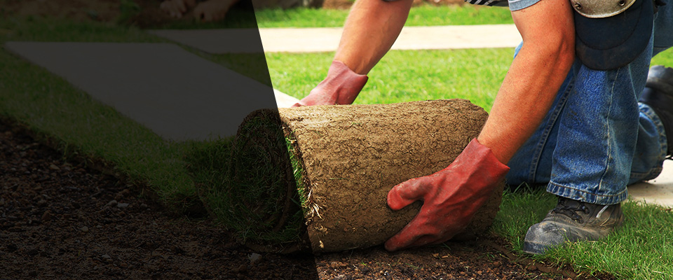 Terre Haute Landscapers
